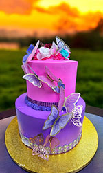Colorful Butterfly Cake